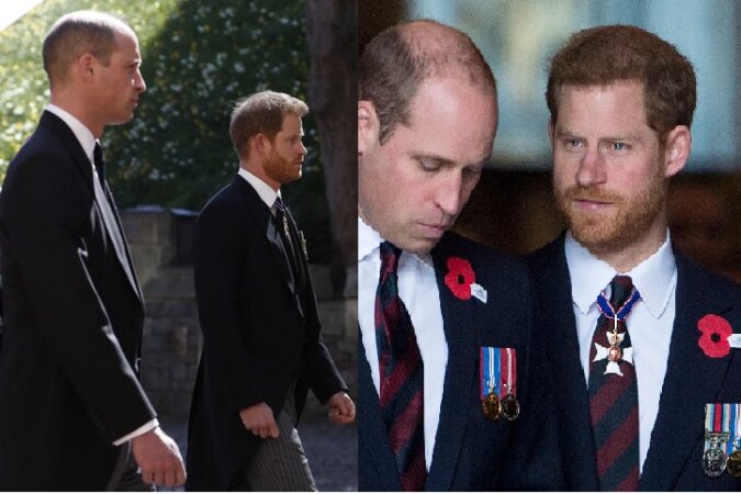 Prinz William und Prinz Harry. Quelle: dailymail.co.uk