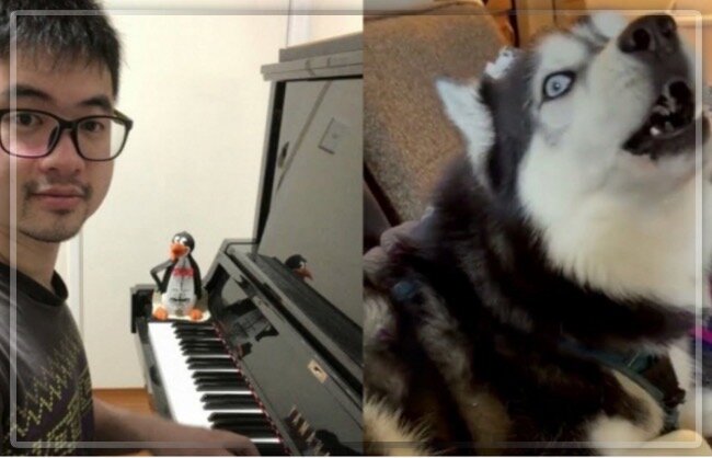 Der Pianist Amos Dol kreiert einen Track mit einem Husky-Hund.Quelle: Screenshot YouTube