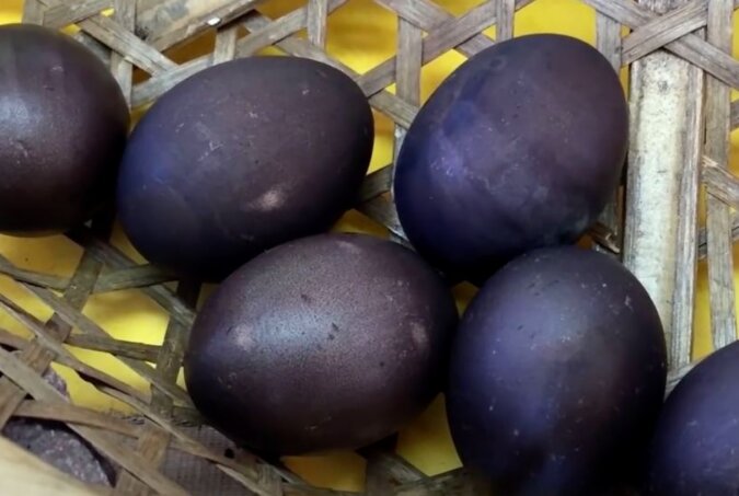 Ein Bauer hat schwarze Eier gefunden: aus ihnen schlüpften keine gewöhnlichen Küken