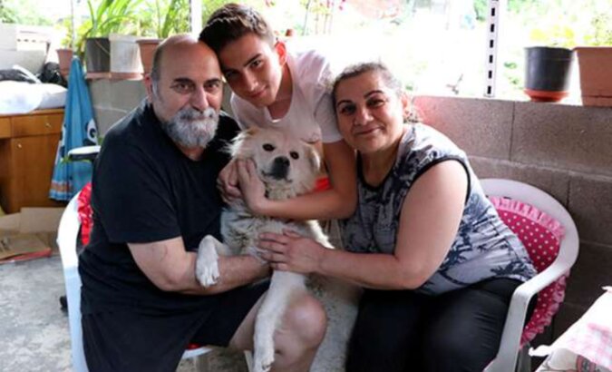 Glückliches Wiedersehen: Die Familie traf ihren vermissten Hund in einer anderen Stadt