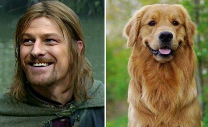 Ein Hund und der Schauspieler. Quelle: travelask