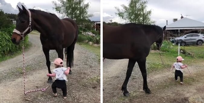 Mädchen mit Pferd. Quelle: dailymail.co.uk