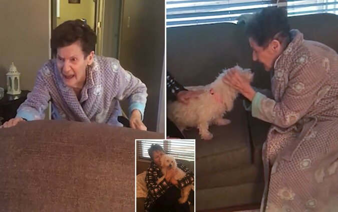 "Freundschaft auf den ersten Blick": Tochter gab 97-jähriger Mutter einen geretteten Hund, und Frau konnte ihre Gefühle nicht zurückhalten