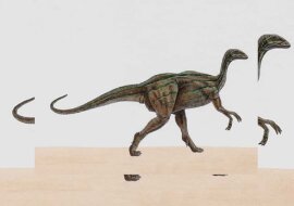 Thecodontosaurus antiquus. Quelle: dailymail.co.uk