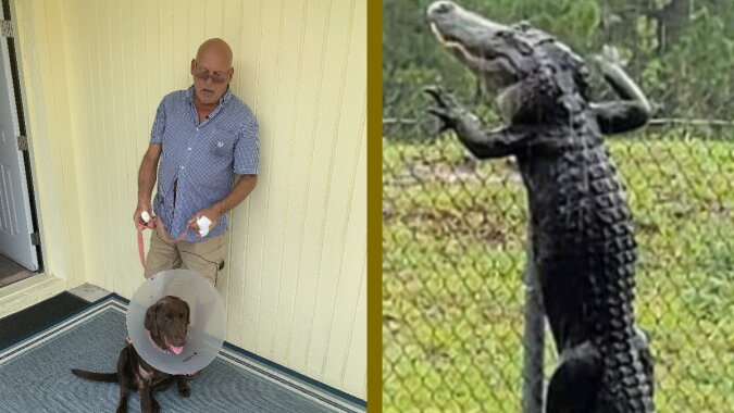 Der Mann mit dem Hund und ein Alligator. Quelle: esquire