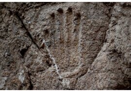 Ein mysteriöser Handabdruck eines Kreuzritters.  Quelle: Yoli Schwartz, Israel Antiquities Authority