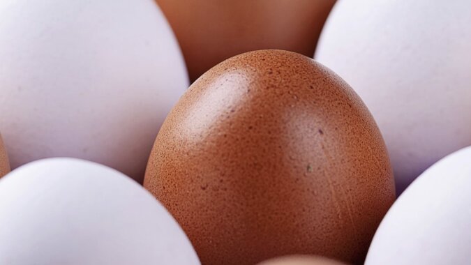 Eier in verschiedenen Farben. Quelle: Getty Images