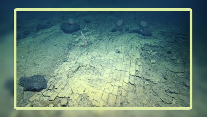 Ein ungewöhnlicher Fund in der Tiefe von bis zu 3000 Metern. Quelle: Screenshot YouTube