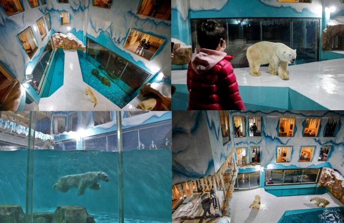 Harbin Polar Land. Quelle: dailymail.co.uk