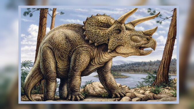 Triceratops. Quelle: simple-fauna.com