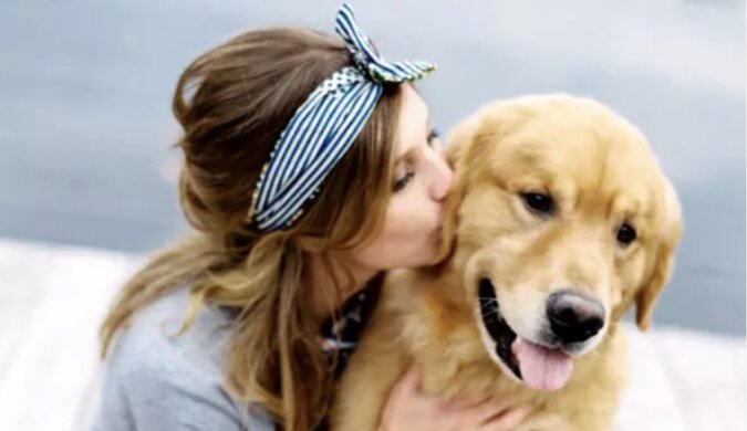 Der Hund heilte die Frau. Quelle: www. petpop.сom