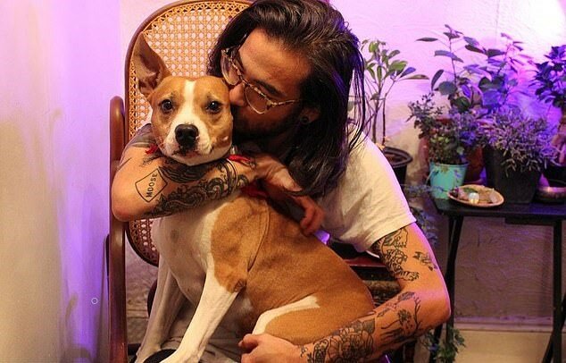"Alles für die Freundschaft": Der Mann stimmte zu, bestraft zu werden, dafür, um seinen Hund seinen ehemaligen Besitzern nicht zu geben