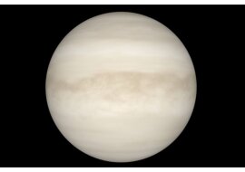 Planet Venus. Quelle:NASA