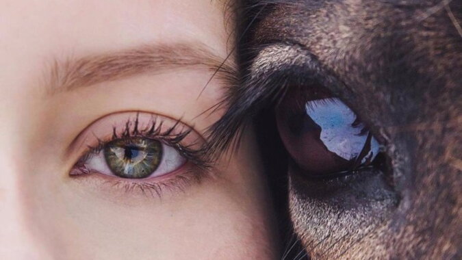 Ein Auge einer Frau und ein Auge eines Pferdes. Quelle: pikabu.com