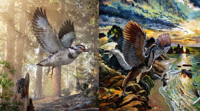 Der Dinosaurier-Vogel-Hybrid. Quelle: dailymail.co.uk