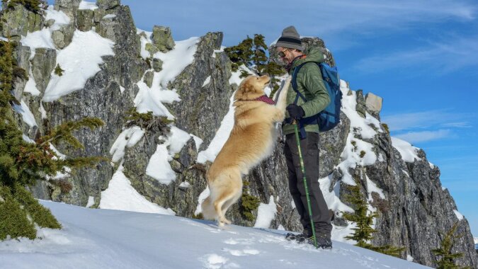 Treue, die ein Leben rettete: Ein treuer Hund hielt einen Bergsteiger 13 Stunden lang warm