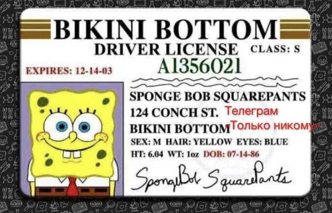 Liebling von Millionen: SpongeBob Schwammkopf feiert seinen 36. Geburtstag  Neueste nachrichten