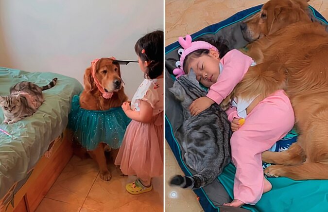 Beste Freunde: Ein kleines Mädchen bringt seinen Hund und seine Katze ins Bett
