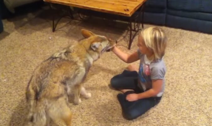 Mädchen und Kojote. Quelle: Screenshot YouTube