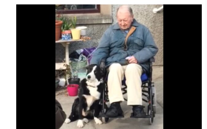 "Er ist so einsam": Frau fährt 1000 Kilometer, um ihren Hund zu seinem ehemaligen Besitzer zu bringen