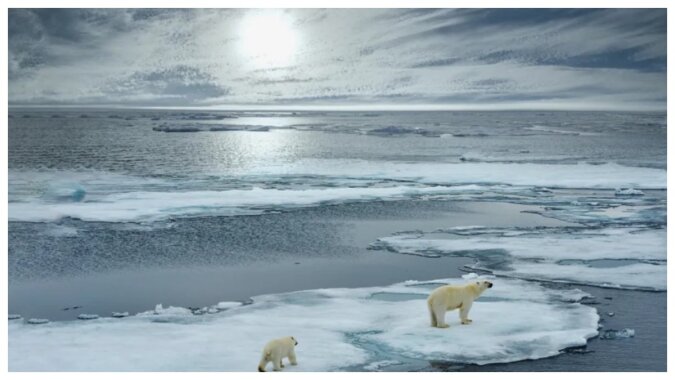 Ausblicke auf die Arktis. Quelle: Florida Stock/Shutterstock