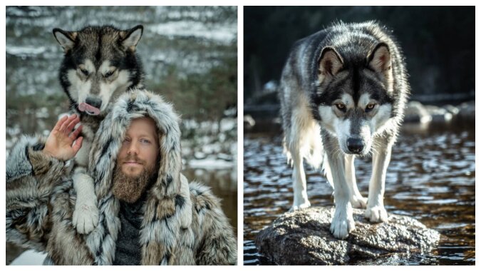 Ein Hund aus Norwegen und sein Besitzer leben wie echte Wikinger