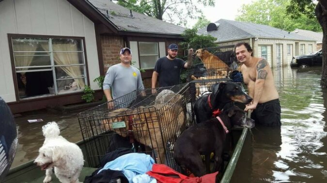 "Edle Tat": Frau schützte 21 Hunde während der Flut