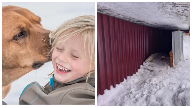 Hund und Mädchen. Quelle: goodhouse.com