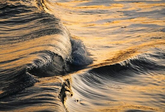 Experten berichteten über die Änderung der Farbe in Meeresoberfläche bis Ende des 21. Jahrhunderts