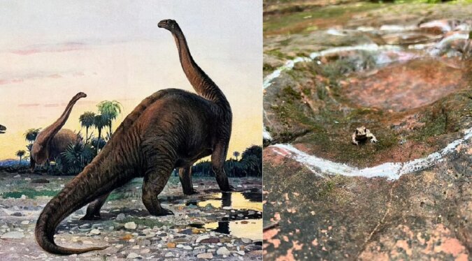 „Spuren der Vergangenheit“: Pfotenabdrücke des größten Dinosauriers wurden in einem kleinen Restaurant gefunden