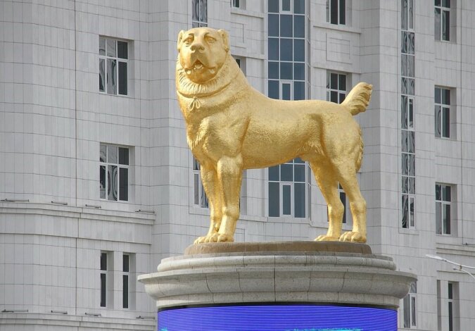 "Goldene Freundschaft": Wie der Besitzer des Hundes beschloss, das Haustier zu verewigen, indem er seine 15 Meter lange goldene Statue bestellte