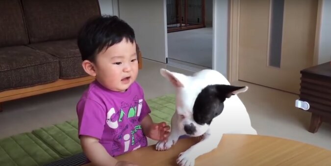 Hund und Baby. Quelle: Screenshot YouTube