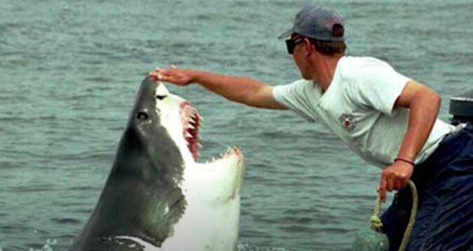 "Edle Tat": Männer retten einen zwei Meter langen Hai, der in einem Fischernetz steckt