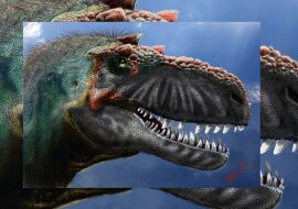 Der Gorgosaurus. Quelle: dailymail.co.uk