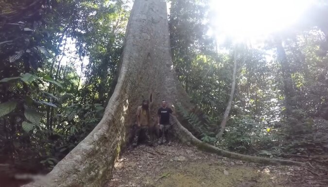 Baum und Männer. Quelle: Screenshot YouTube
