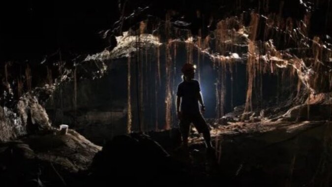 Wissenschaftler entdecken mysteriöse Lebensformen in uralten Höhlen auf Hawaii. Quelle:SciTechDaily