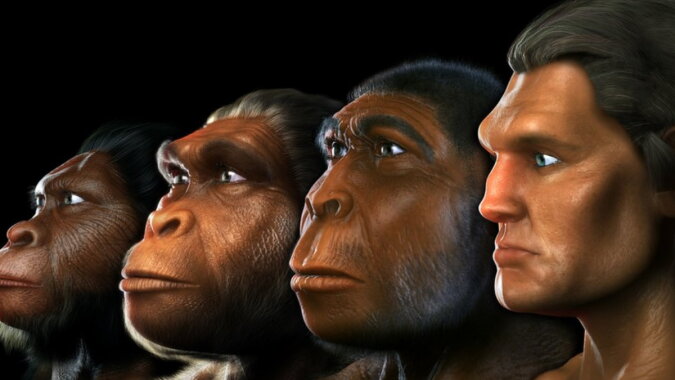 Vorfahren von Menschen. Quelle: pinterest