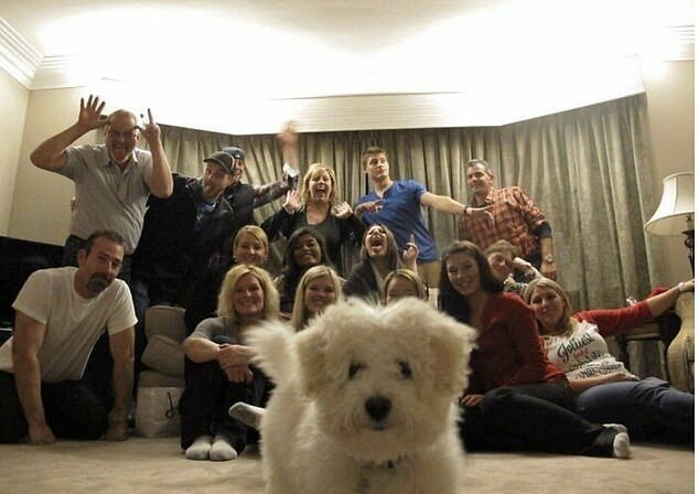 "Die Hauptfigur des Fotos": Hundebesitzer teilten Familienfotos, auf denen ihre Haustiere die Aufmerksamkeit auf sich zogen