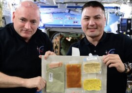 Essbare Pulver und künstliches Fleisch. NASA wählt Menüs für Mars und Mond Kolonisatoren
