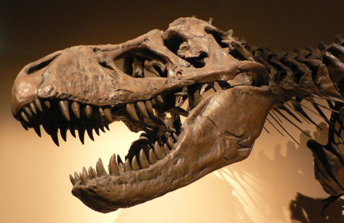 Die Wahrheit über das Leben der Dinosaurier: Wissenschaftler haben die Ära des Paläozoikums nachgebildet