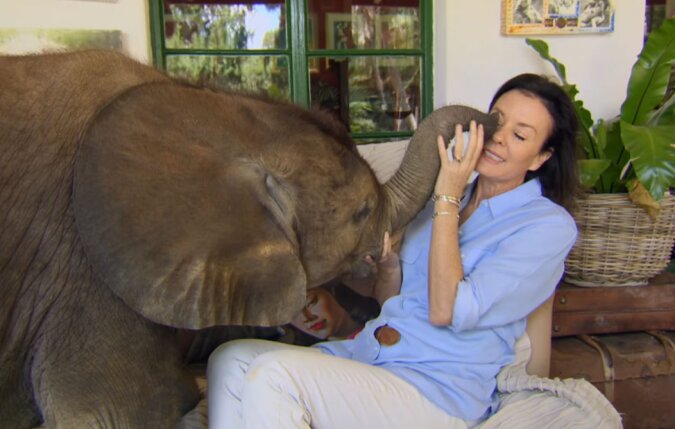Die Frau hat einem kleinen Elefanten das Leben gerettet, und jetzt lebt er in ihrem Haus