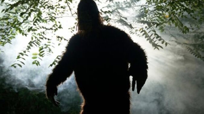 Bigfoot-Jäger glauben, dass sie in einem "historischen Kampf" getötet wurden. Quelle: Getty Images
