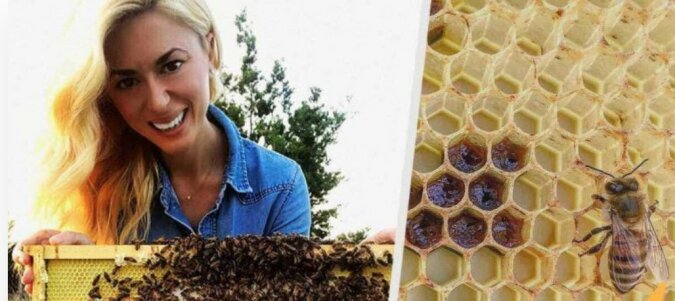 Ungewöhnliches Hobby: Eine furchtlose junge Frau beschäftigt sich mit der Imkerei und steht in ständigem Kontakt mit zahlreichen Bienen
