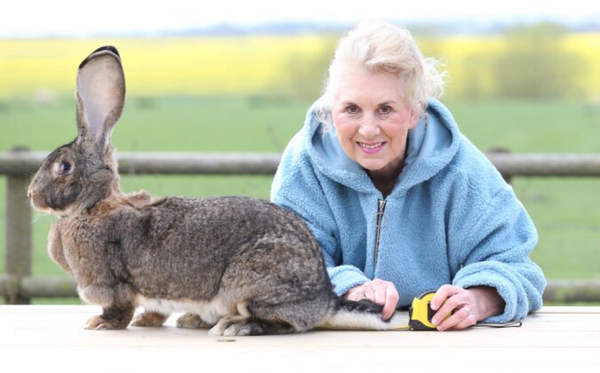 Unkonventioneller Rekord: Kaninchen mit dem längsten Schwanz der Welt