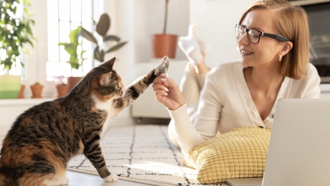 Eine Katze kann sich als sehr dankbare Gesprächspartnerin erweisen.  Quelle: Getty Images