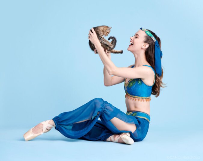 Tolle Partner: Balletttänzer tanzen mit Hunden und Katzen, die Besitzer finden möchten