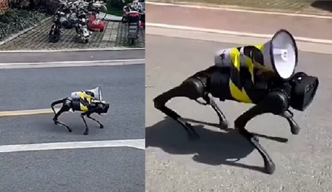 Der Roboterhund. Quelle: dailymail.co.uk