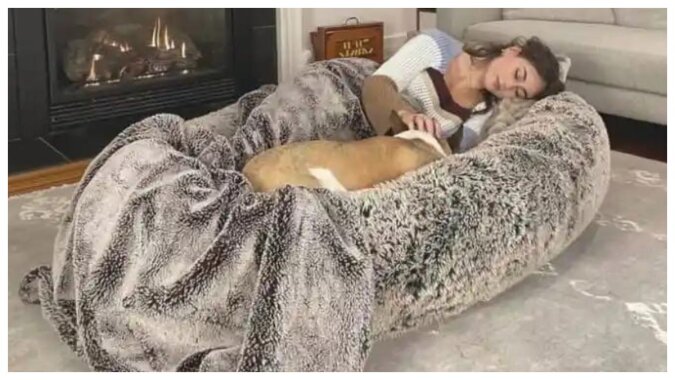 Ein Bett, das einem Hundebett ähnelt. Quelle: ndtv.com