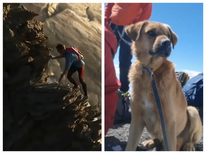 Alpinist und Hund. Quelle: lemurov.com