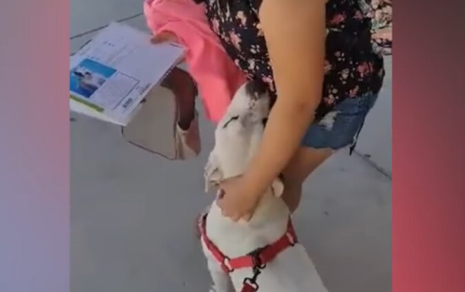 Ein Mädchen weinte, als die Mutter ihm einen Hund aus einem Tierheim schenkte